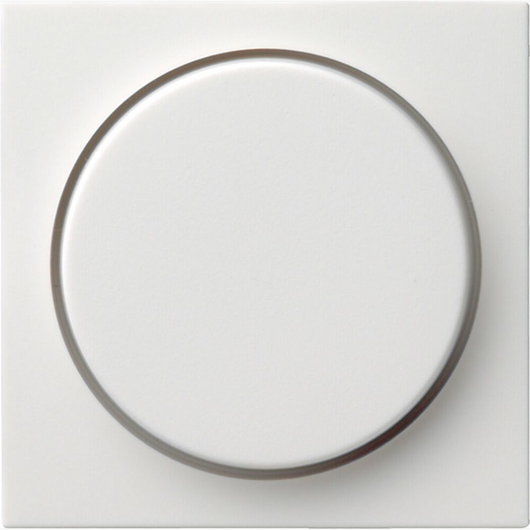 Weißer Drehdimmer auf weißer Wand.