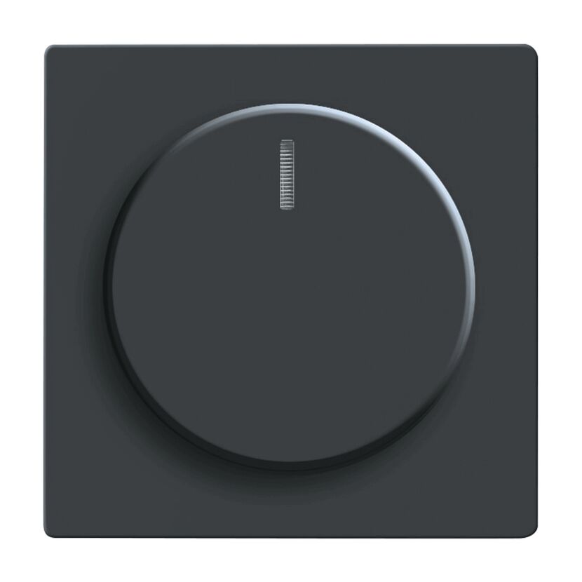 Schwarzer Drehdimmer