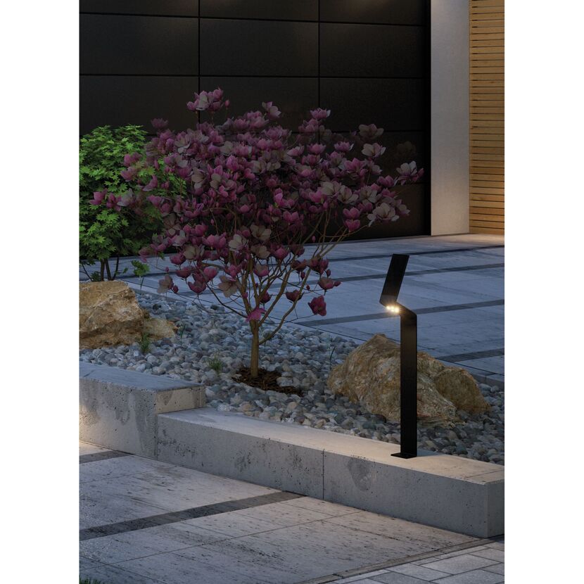 Solar-Pollerleuchte Ilias neben Magnolie
