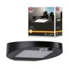 Paulmann Solar Wandleuchte Ryse, schwarz, mit Bewegungsmelder