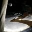 Beleuchteter Gehweg im Schnee mit Mr. Beams Strahlern