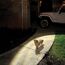 Beleuchteter Weg mit Hund und Jeep im Hintergrund.