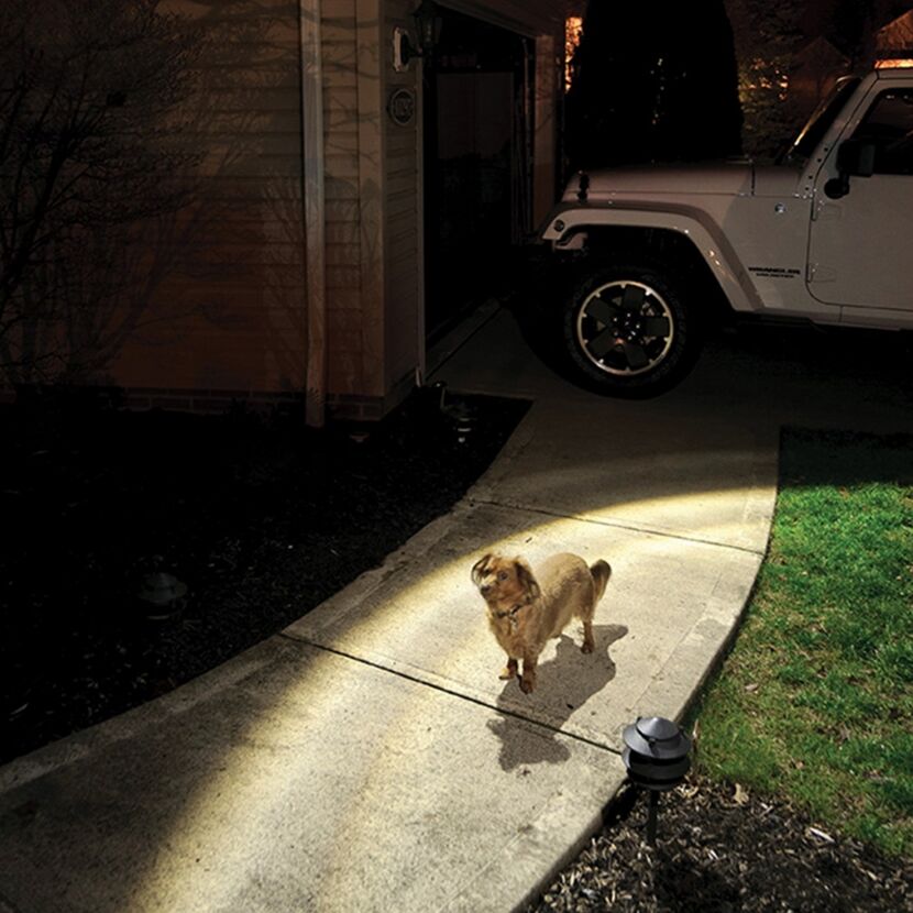 Beleuchteter Weg mit Hund und Jeep im Hintergrund.