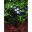 Mr. Beams LED-Strahler im Garten