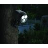 Mr. Beams LED-Strahler mit Bewegungsmelder an Baum montiert
