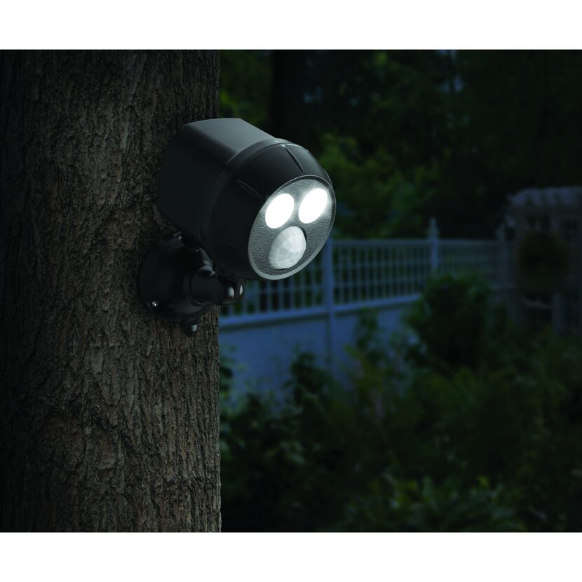 Mr. Beams LED-Strahler mit Bewegungsmelder an Baum montiert