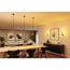 Pendelleuchte 'Ravi' E27 maximal 60 W Gold