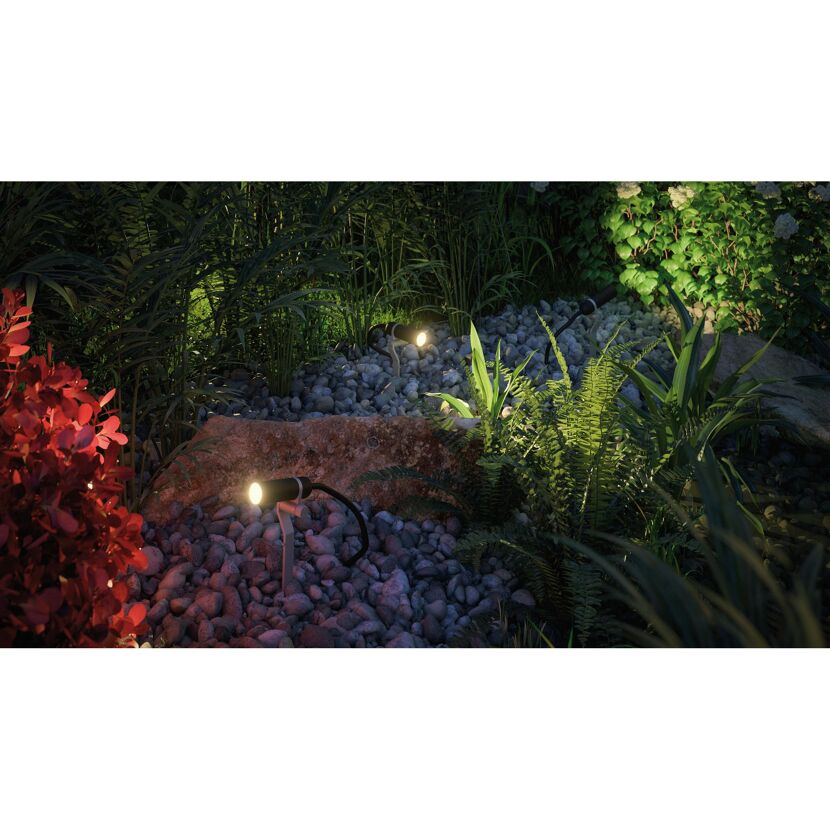 Beleuchtete Pflanzen und Steine im Garten