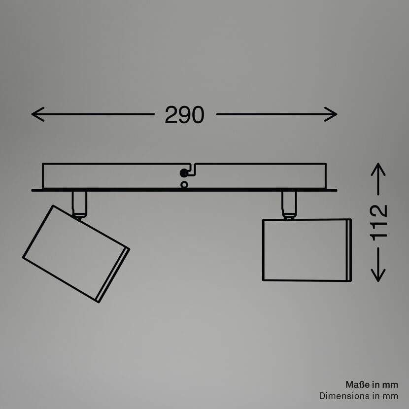 LED-Spotleuchte 'Banyo' schwarz 29 x 9,9 x 11,2 cm 2-flammig