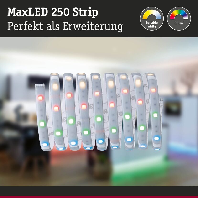 LED-Streifen 'MaxLED 250' 250 cm 17 W 575 lm 3000 K, RGBW