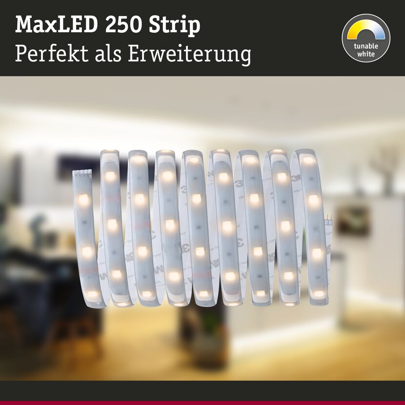 LED-Streifen 'MaxLED 250' 250 cm 9 W 575 lm 2700-6500 K, Tunable White