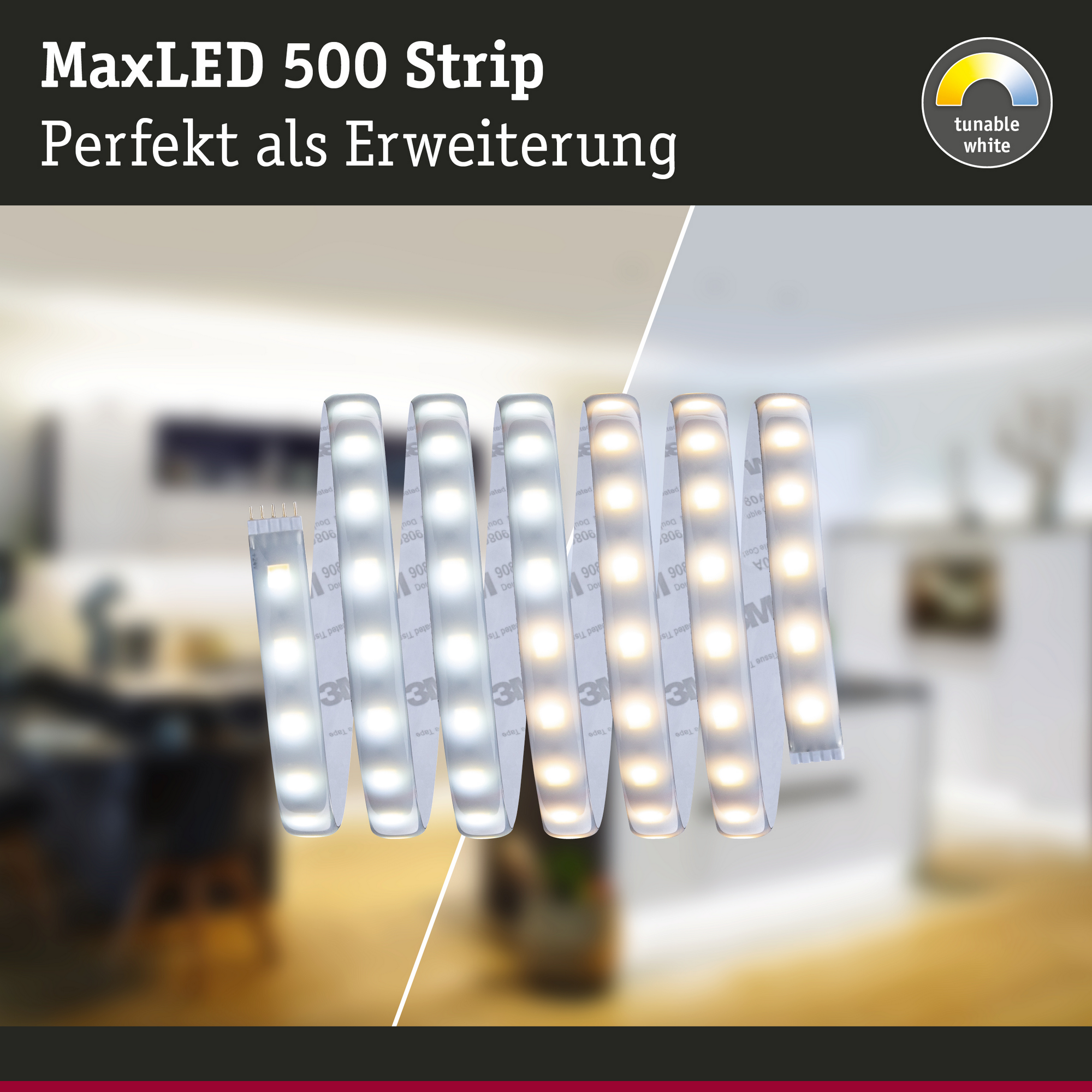LED-Streifen 'MaxLED 500' 250 cm 16 W 1175 lm 2700-6500 K, Tunable White + product picture