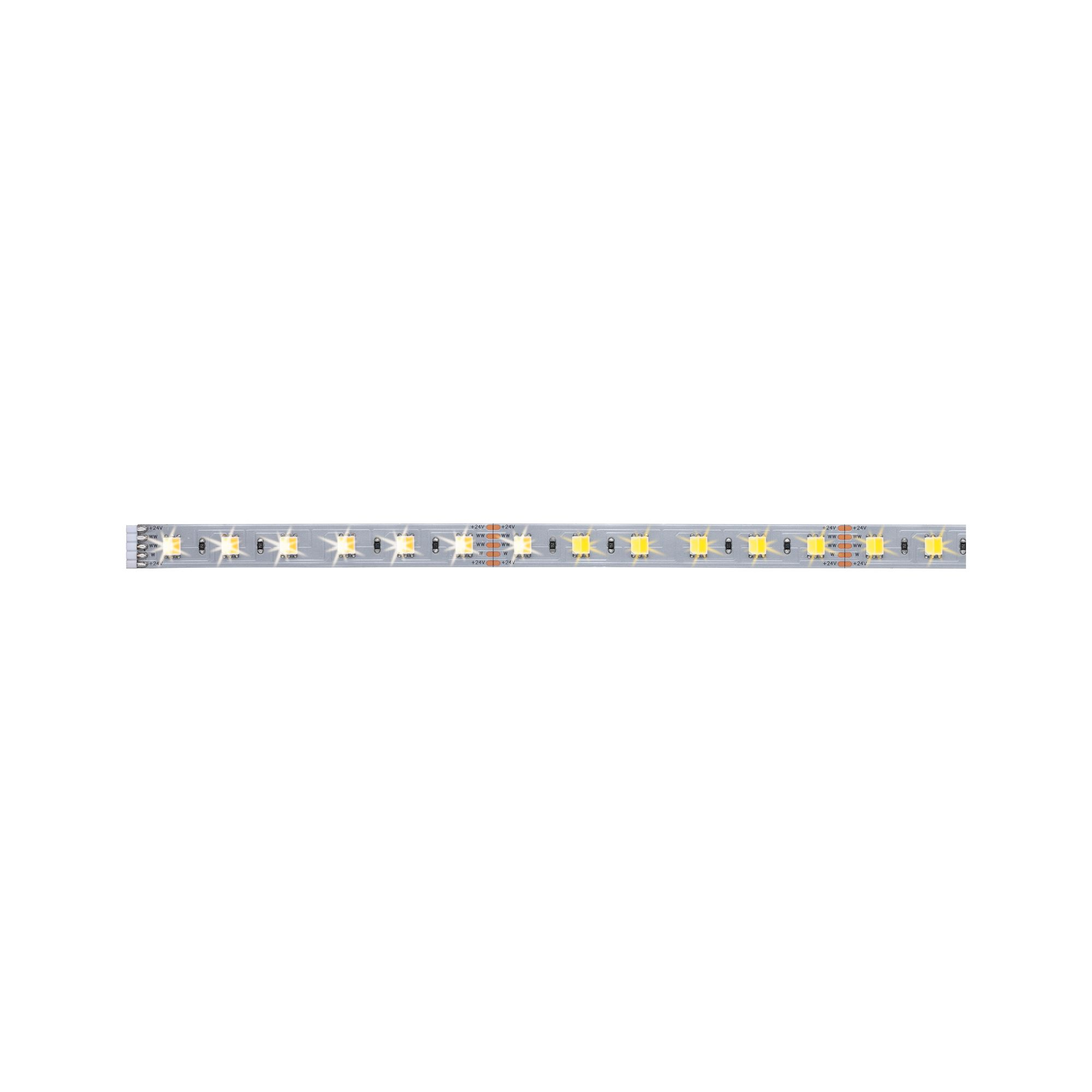 LED-Strip 'MaxLED 500 Tuneable White' 1 m 6,2 W silber + product picture