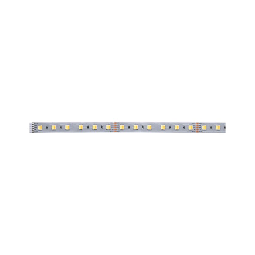 MaxLED Strip 1m Tunable Weiss