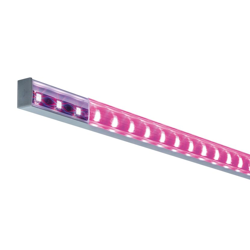 Rosa LED-Lichtleiste im Profil