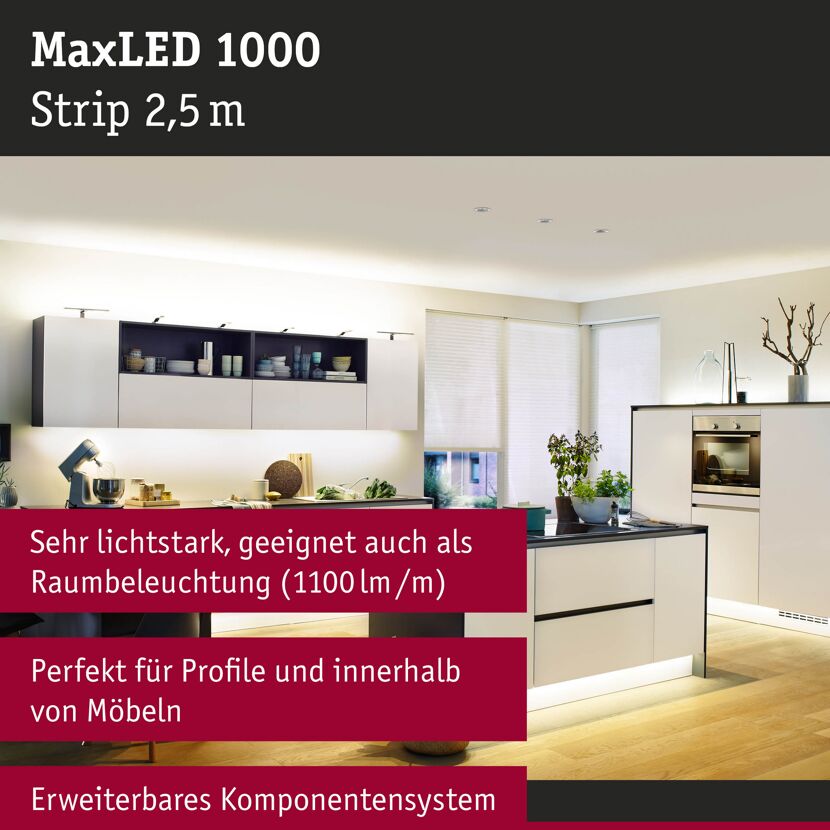 LED-Strip 'MaxLED 1000 Warmweiß' 2,5 m 29 W unbeschichtet silber