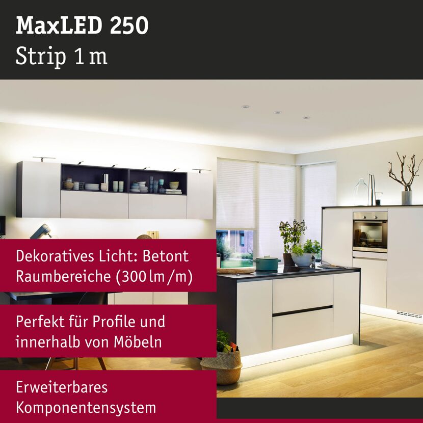 LED-Strip 'MaxLED 250 Warmweiß' 1 m 4 W unbeschichtet silber