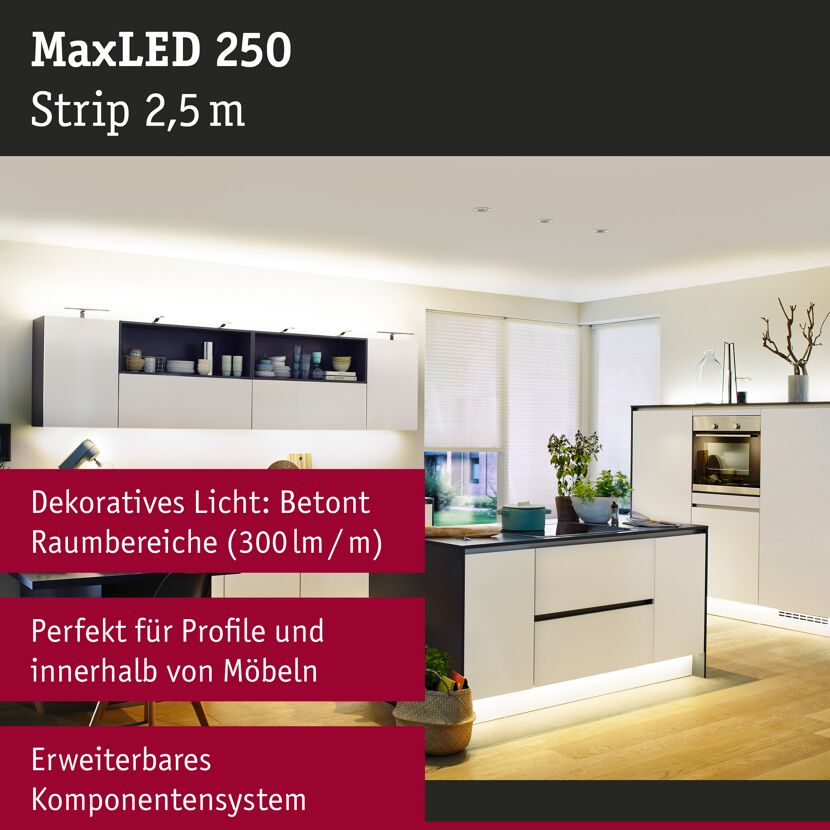 LED-Strip 'MaxLED 250 Warmweiß' 2,5 m 10 W unbeschichtet silber