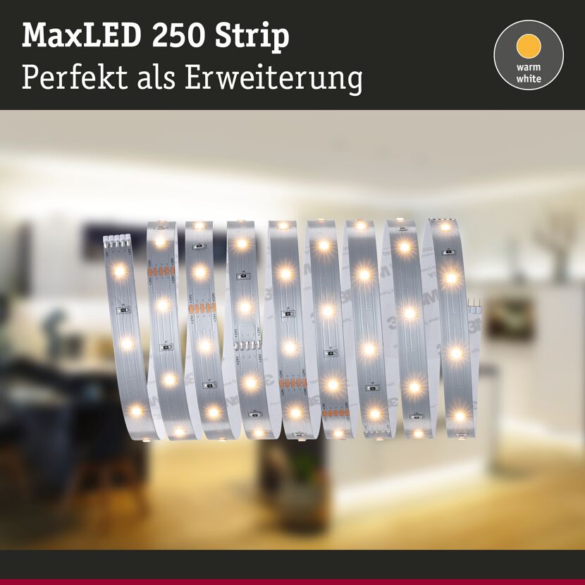 LED-Strip 'MaxLED 250 Warmweiß' 2,5 m 10 W unbeschichtet silber