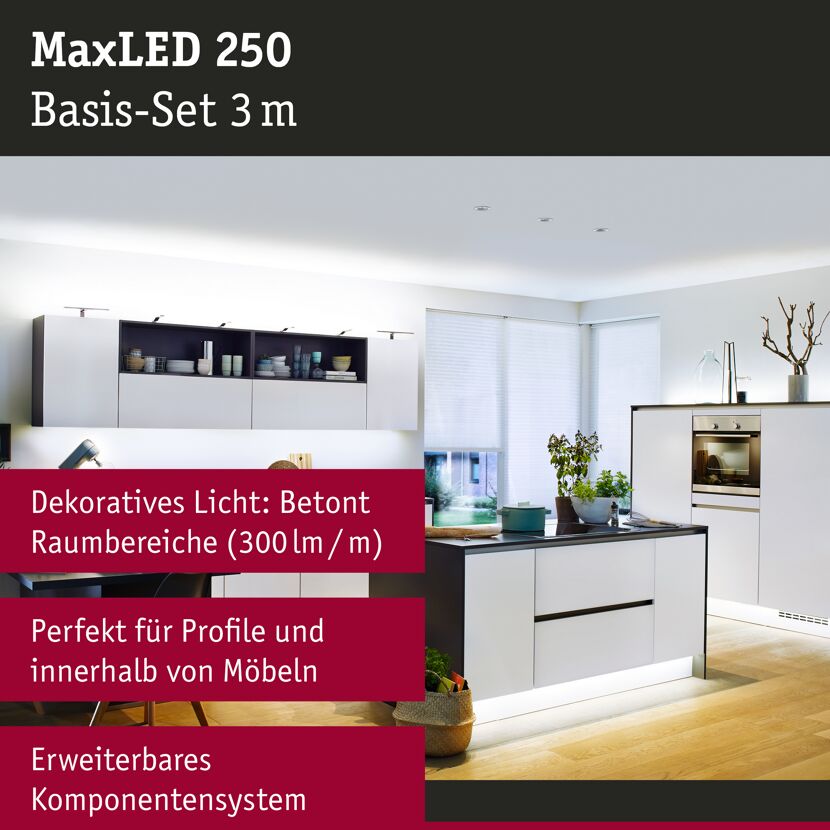 LED-Strip 'MaxLED 250 Daylight Basisset' 3 m 12 W unbeschichtet silber