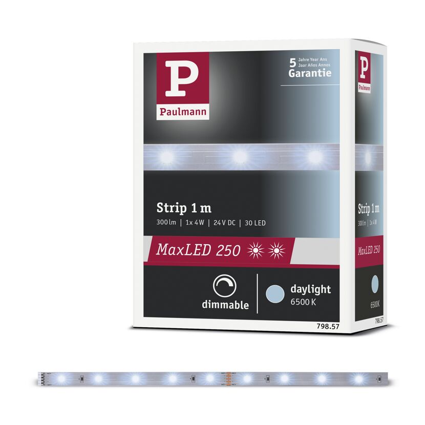 LED-Strip 'MaxLED 250 Daylight' 1 m 4 W unbeschichtet silber