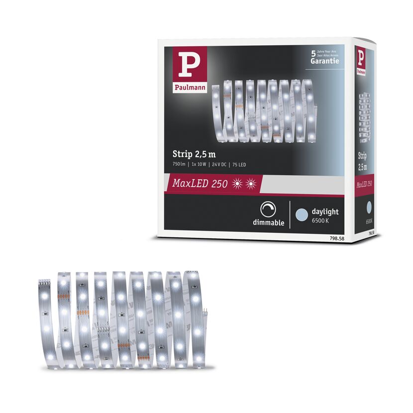 LED-Strip 'MaxLED 250 Daylight' 2,5 m 10 W unbeschichtet silber