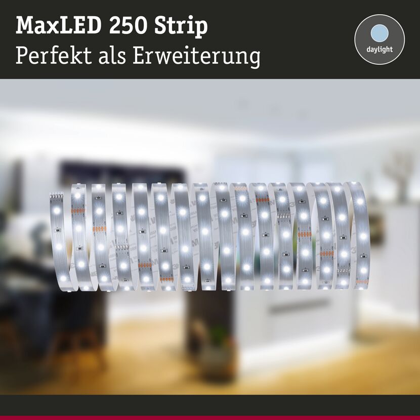 LED-Strip 'MaxLED 250 Daylight' 5 m 19 W unbeschichtet silber