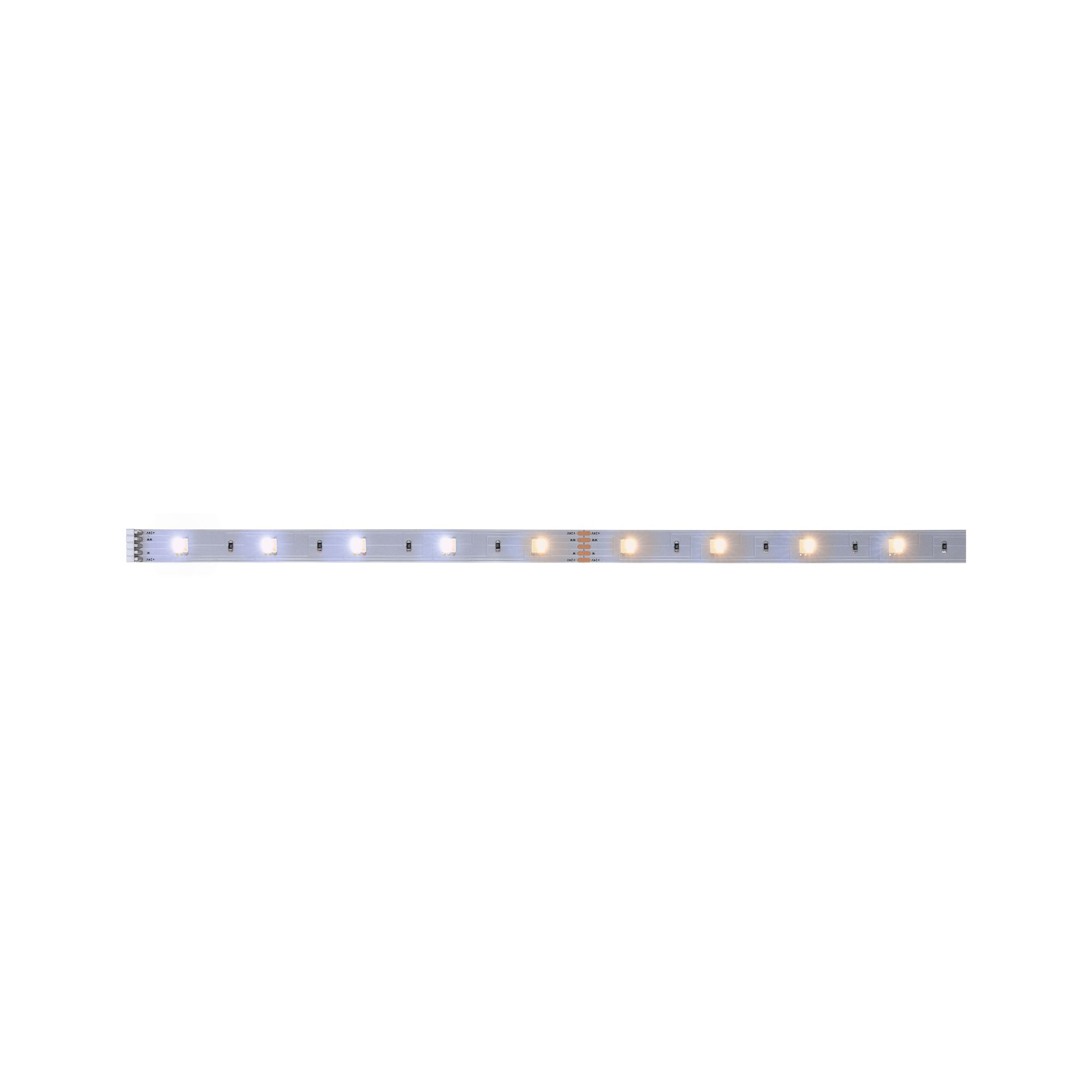 LED-Strip 'MaxLED 250 Tuneable White' 1 m 4 W unbeschichtet silber + product picture