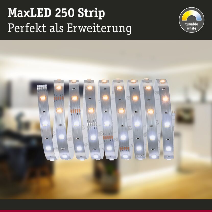 LED-Strip 'MaxLED 250 Tuneable White' 2,5 m 9 W unbeschichtet silber