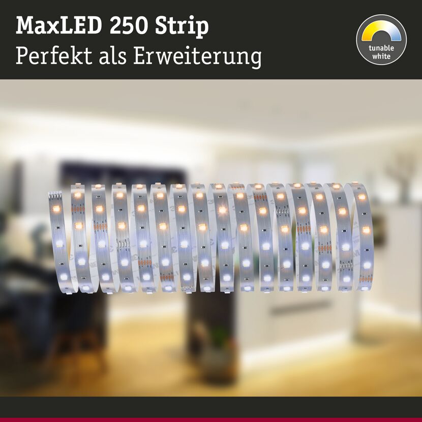 LED-Strip 'MaxLED 250 Tuneable White' 5 m 17,5 W unbeschichtet silber