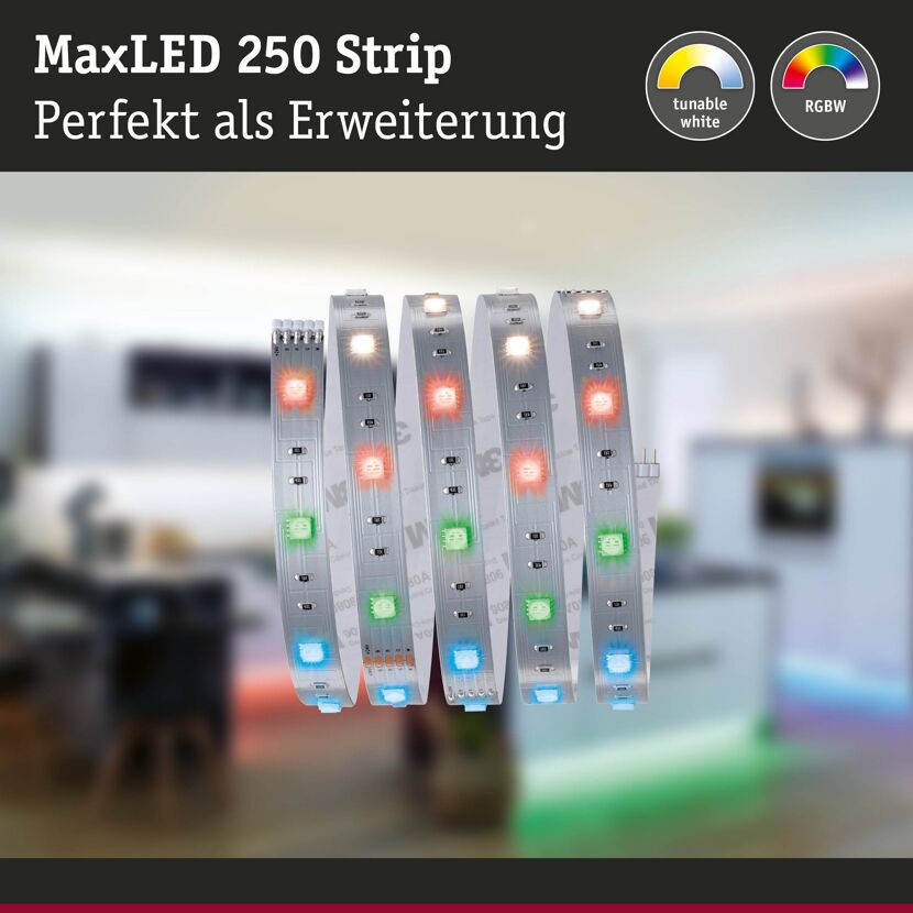 LED-Strip 'MaxLED 250 RGBW' 1 m 7 W unbeschichtet silber