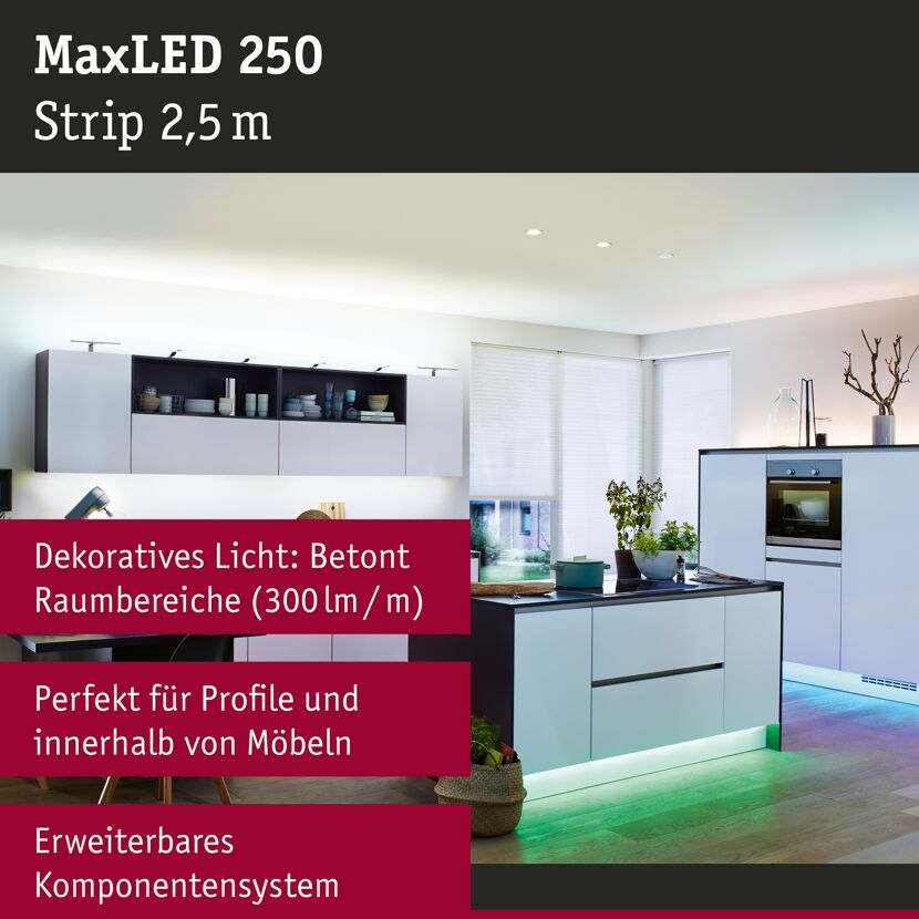LED-Strip 'MaxLED 250 RGBW' 2,5 m 17 W unbeschichtet silber