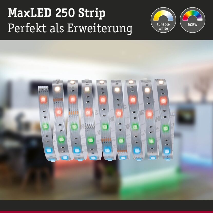 LED-Strip 'MaxLED 250 RGBW' 2,5 m 17 W unbeschichtet silber