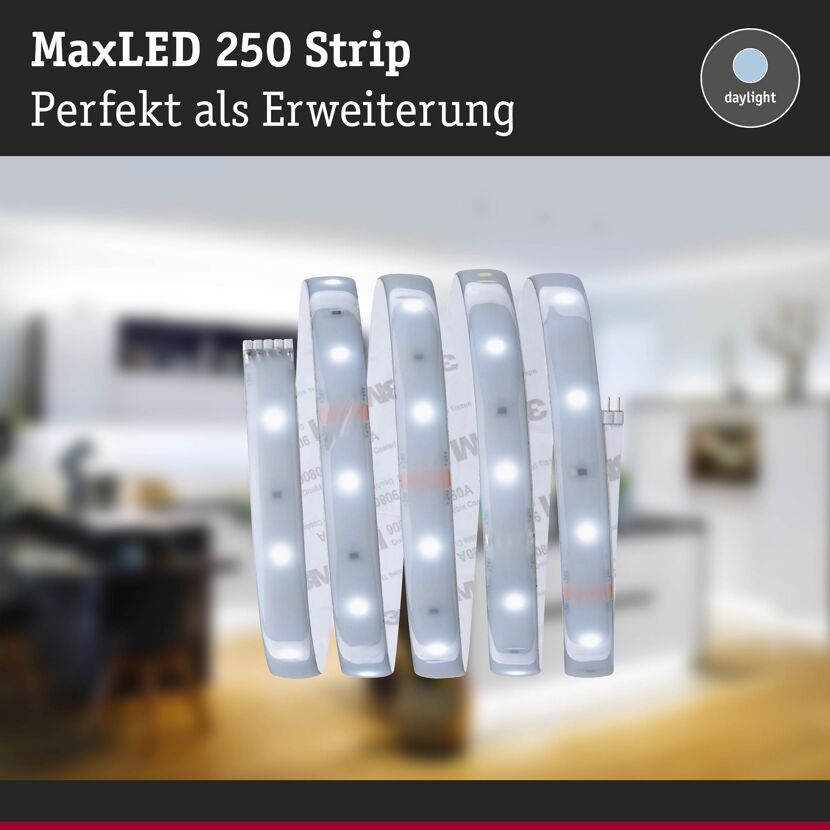 LED-Strip 'MaxLED 250 Daylight' 1 m 4 W beschichtet silber
