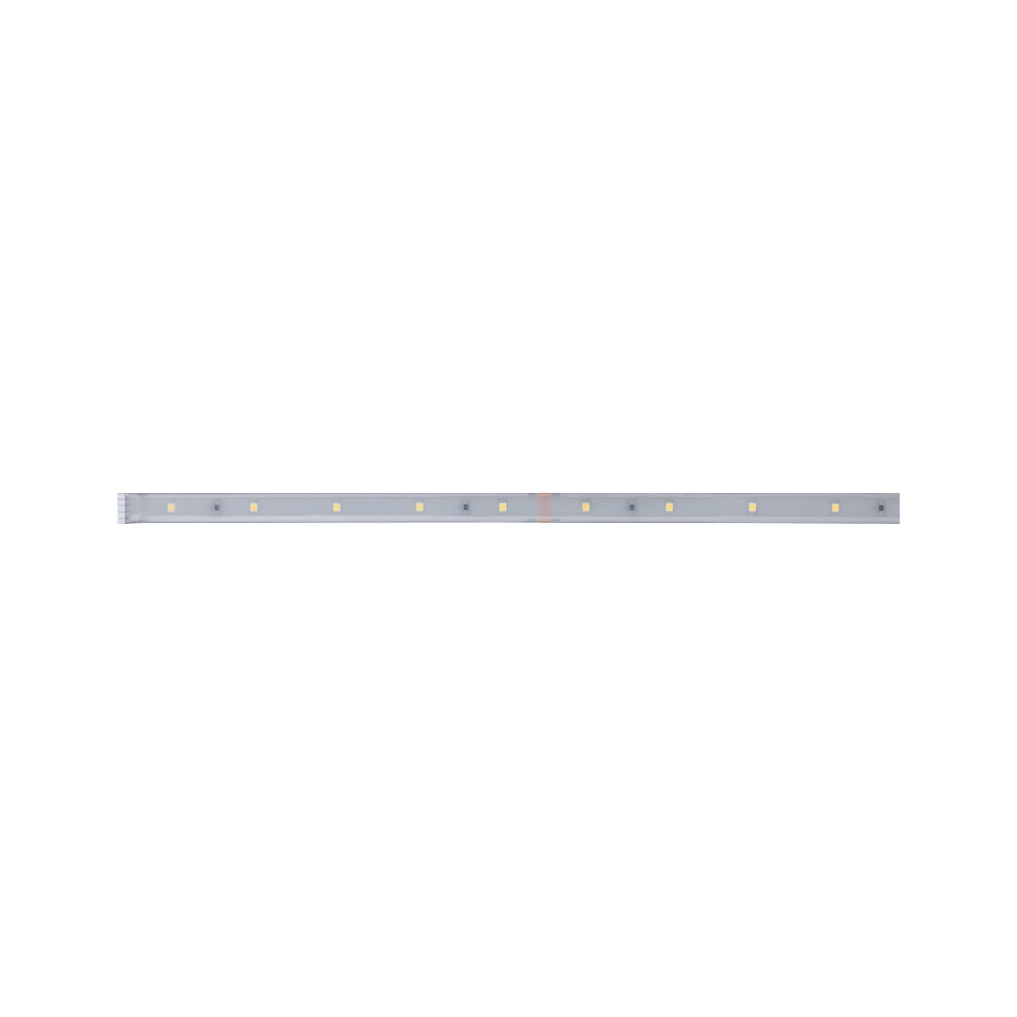 LED-Strip 'MaxLED 250 Daylight' 1 m 4 W beschichtet silber + product picture