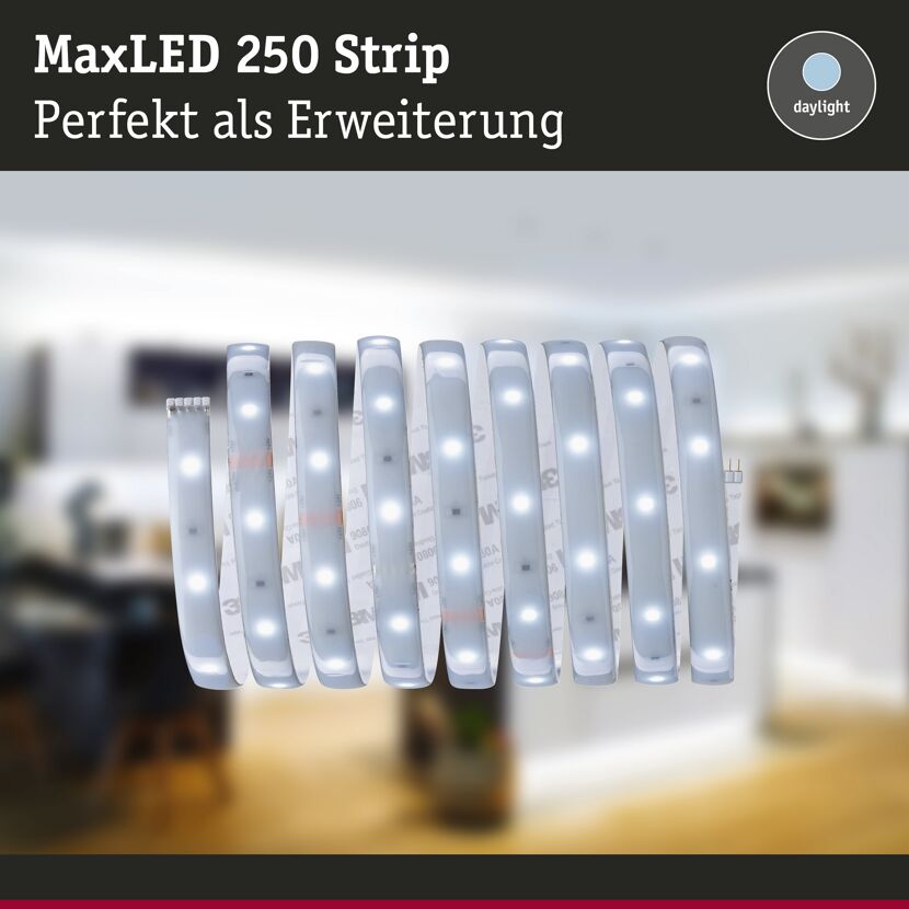 LED-Strip 'MaxLED 250 Daylight' 2,5 m 10 W beschichtet silber