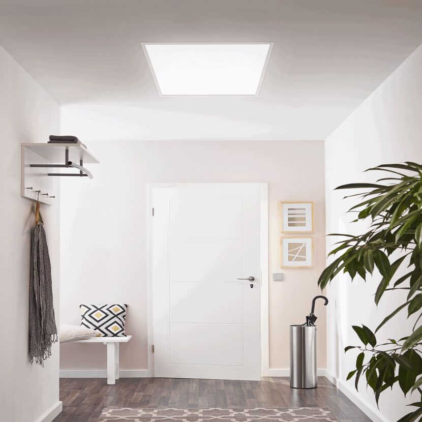 Heller Flur mit Garderobe, Schirmständer und Zimmerpflanze.
