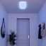 LED-Panelleuchte 60 x 30 cm 1400 lm