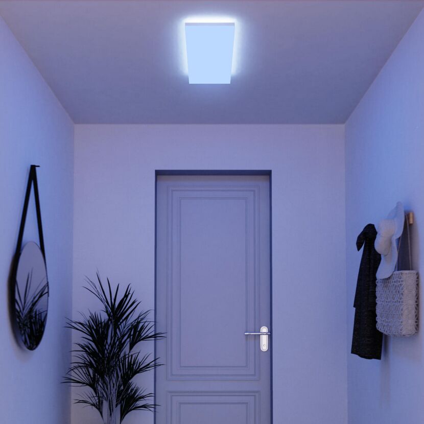 LED-Panelleuchte 60 x 30 cm 1400 lm