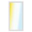 LED-Panelleuchte  60 x 30 cm 1800 lm