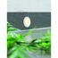 Rundes LED Downlight leuchtet gelblich