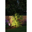 Verkleinertes Bild von Pflanzenleuchte 'Plug & Shine' 520 lm Anthrazit außen