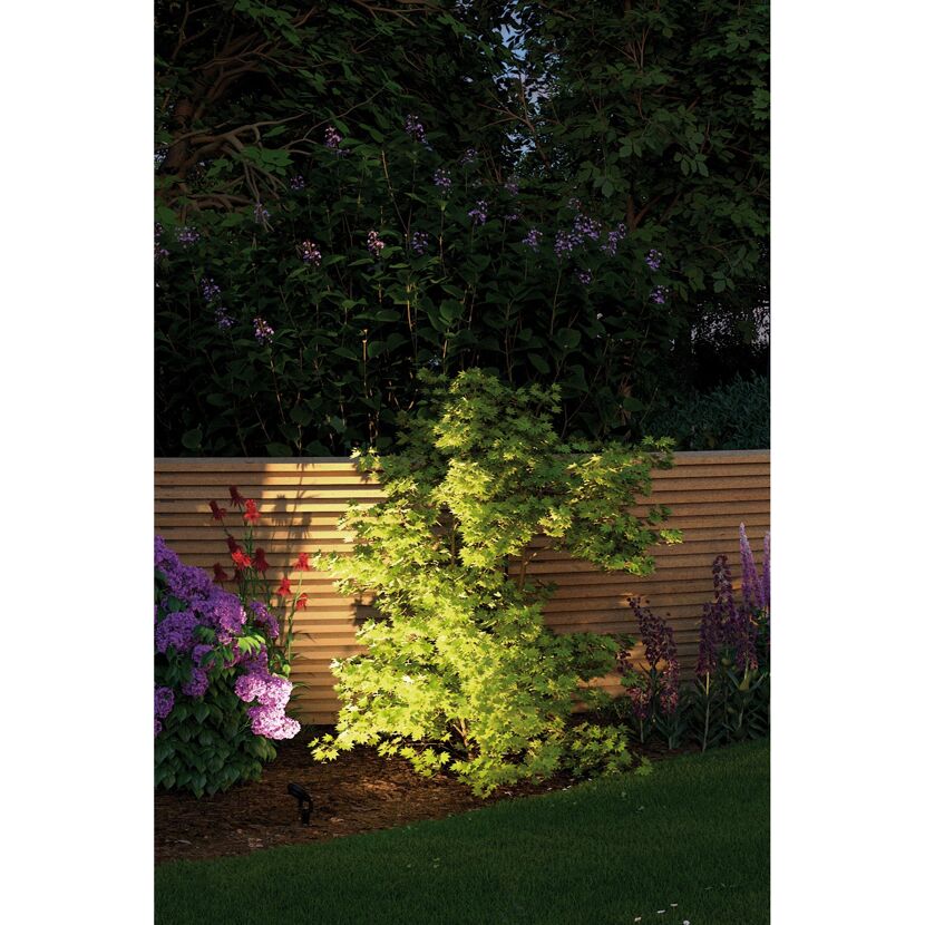 Beleuchteter Garten mit Sträuchern und Blumen