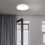 LED-Deckenleuchte Ø 29,3 cm 18 W 4000K 2400 lm flach rund weiß