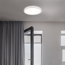 LED-Deckenleuchte Ø 29,3 cm 18 W 4000K 2400 lm flach rund weiß