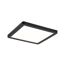 LED-Deckenleuchte 'Atria Shine' schwarz 11,2 W 19 x 19 cm