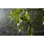 Verlängerungskabel für LED-Lightstrip 'Hue White & Color Ambiance' 5m