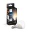 LED-Tropfen 'Hue P45' 370 lm E14