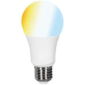 tint LED-Lampe A60 white