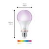 Philips Wiz Connected Full Color Smart LED